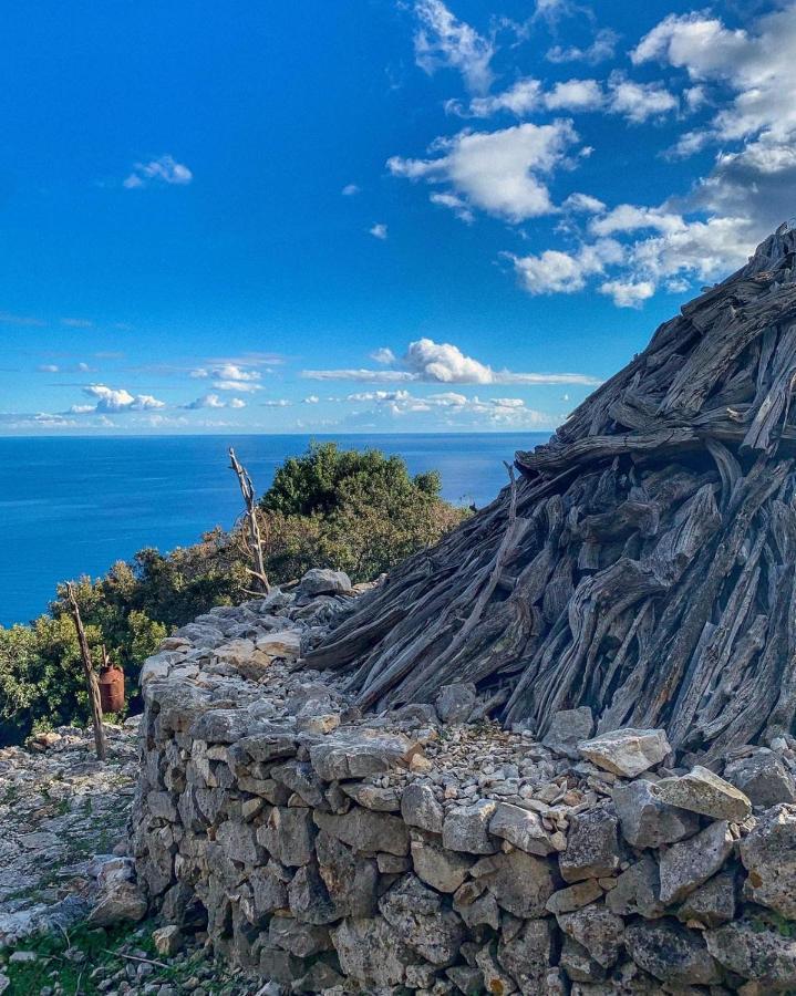 Appartamenti Le Conchiglie E Le Stelle Marine Cala Gonone Exterior photo